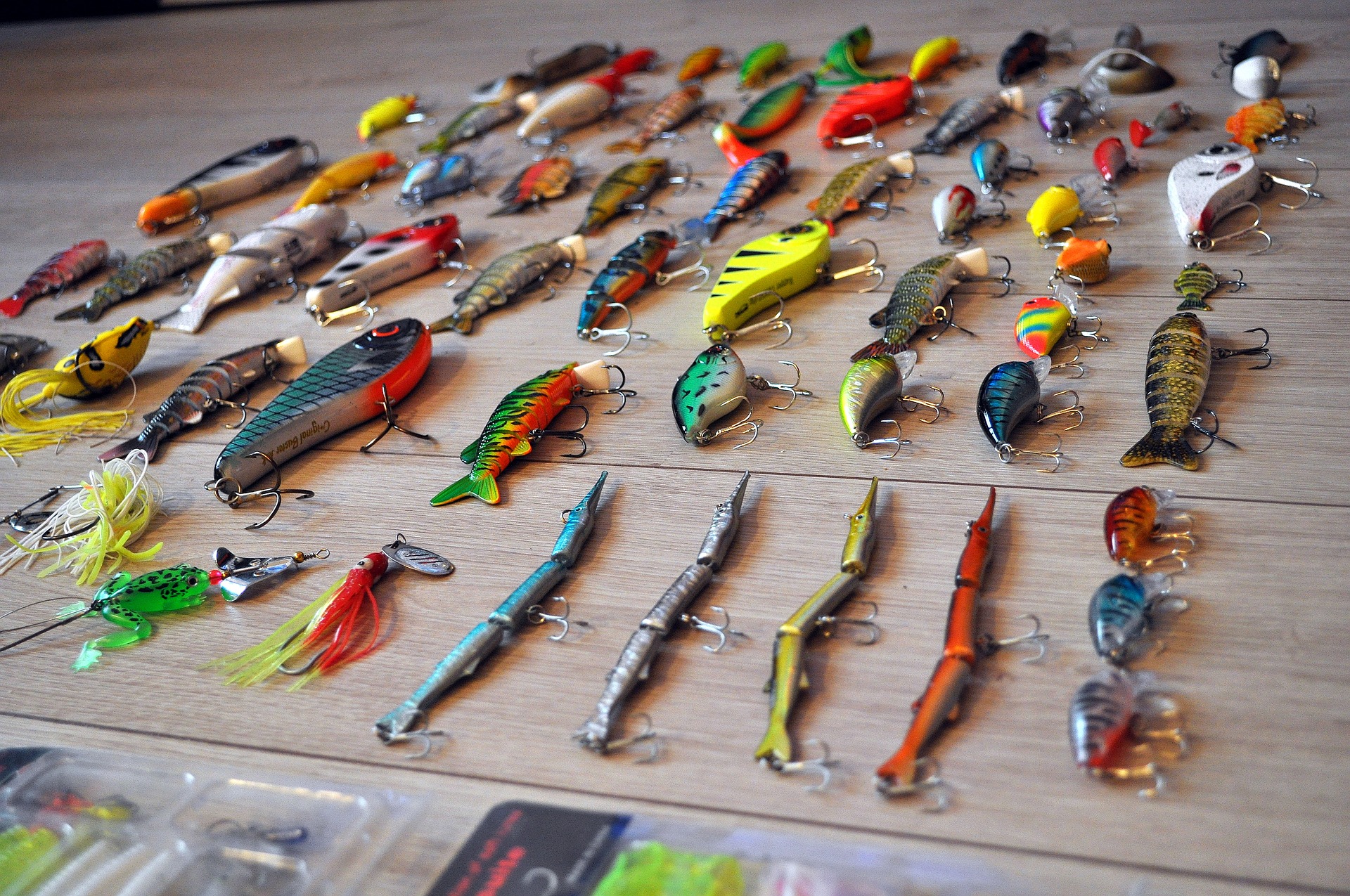 Fishing Lure